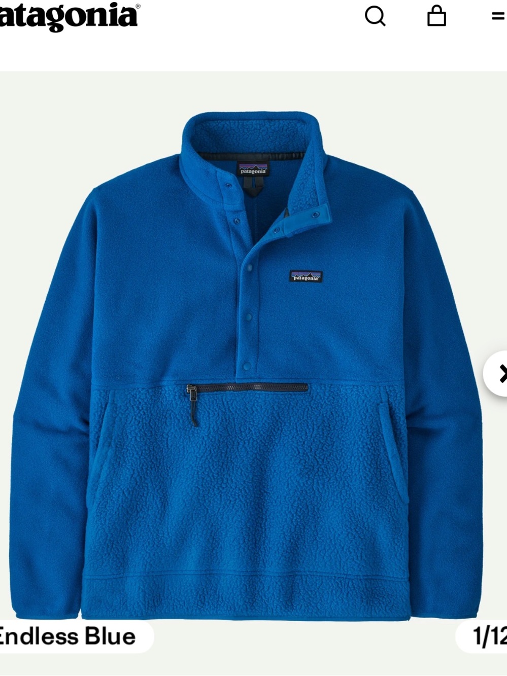 Patagonia Men's Retro Pile Half-Snap Fleece Pullover